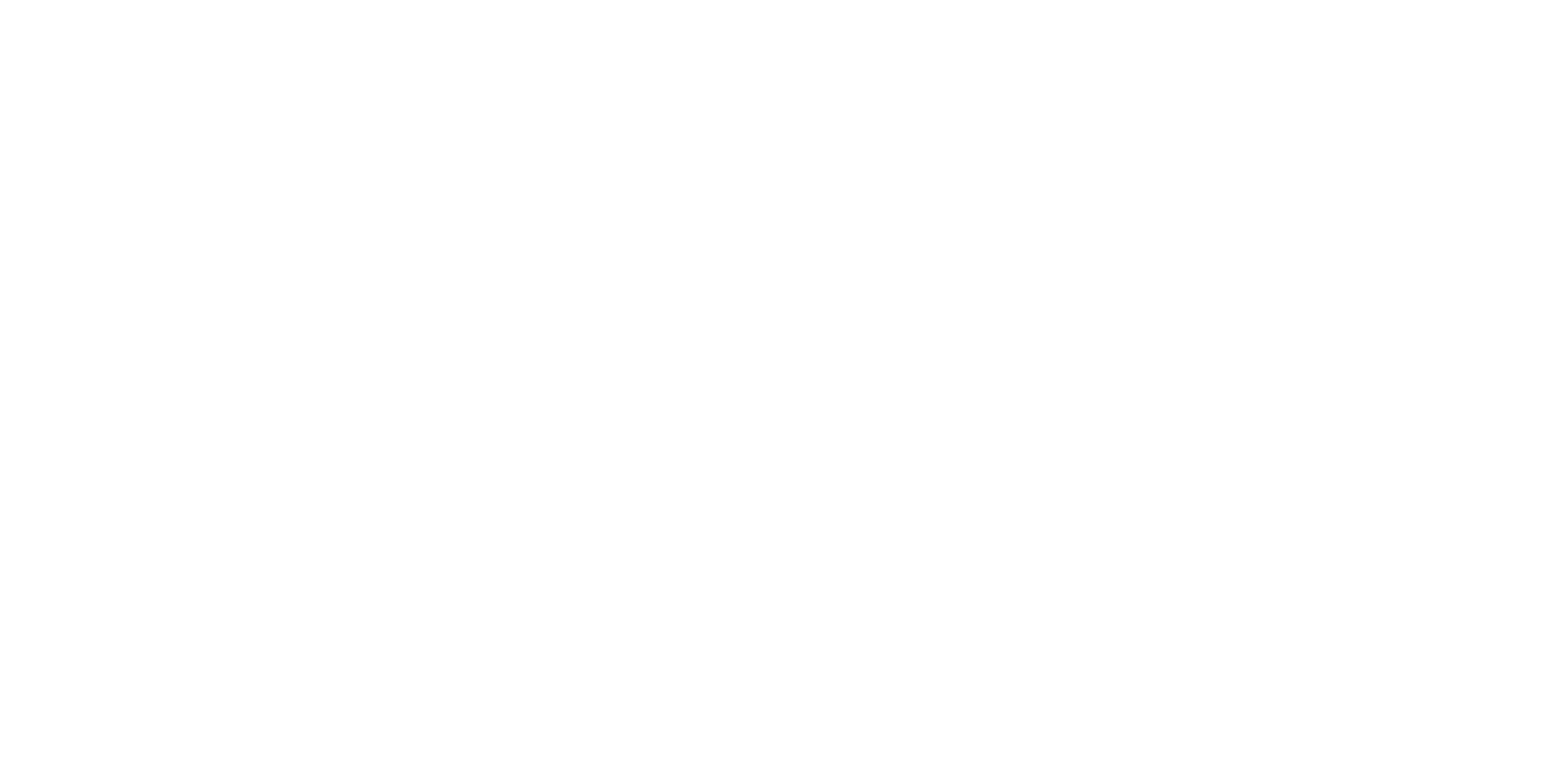 Logo Festa Boa Fotografias